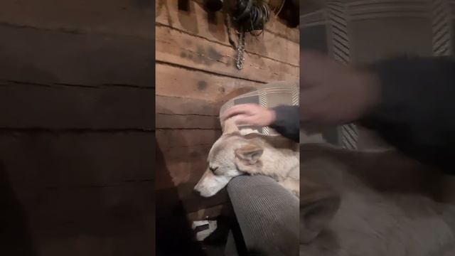 25 декабря 2021 г.(3) смотреть онлайн