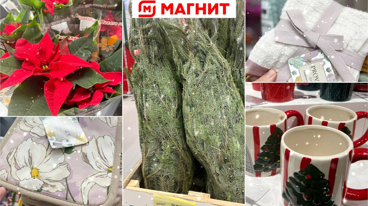 МАГНИТ Манит 🧲: Новогодняя Атмосфера и Первые Весенние Новинки в Галамарт 🎄✨ Обзор Нового Modi