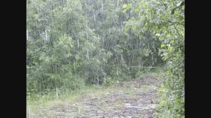 Иеромонах Роман, монах Афанасий (Кокорев). Шум дождя