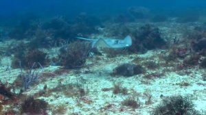 Природа Таиланда - Phuket