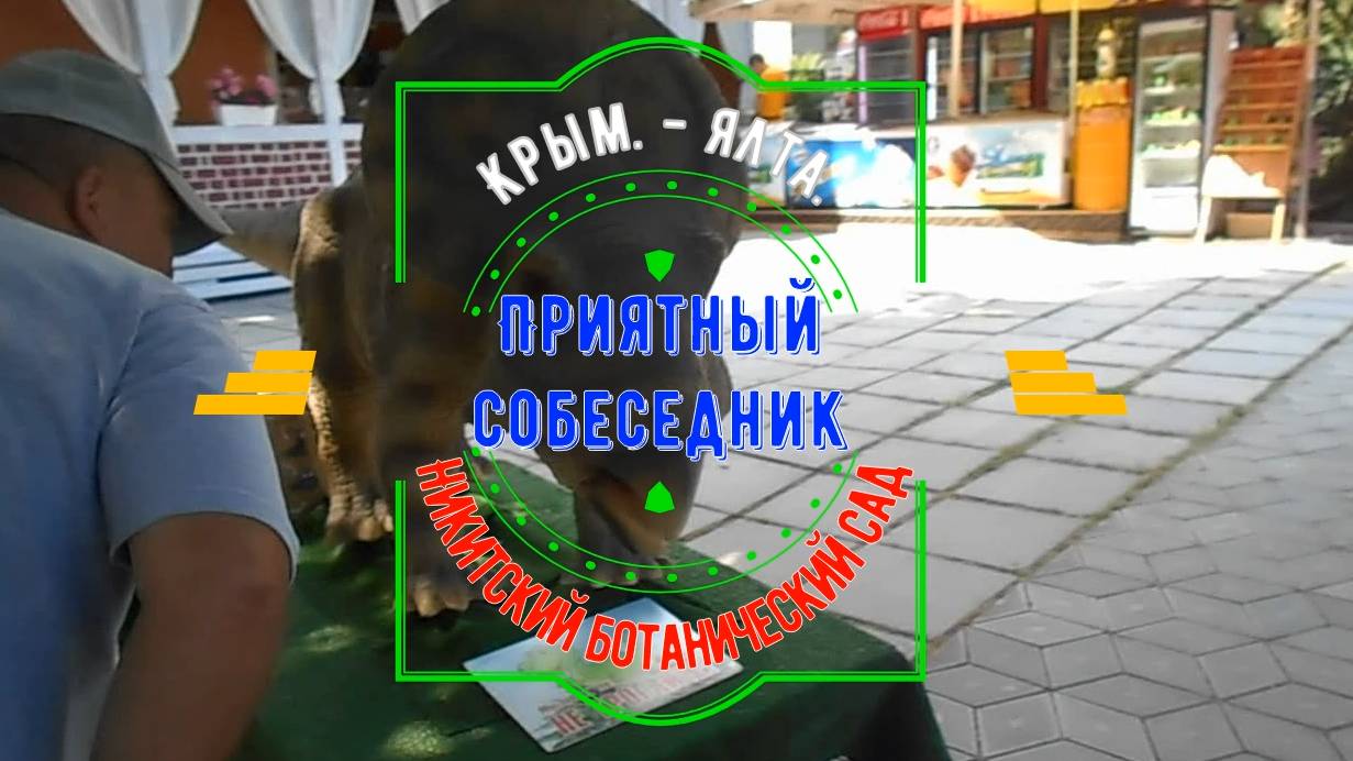 Приятный собеседник. Остановитесь около него и побеседуйте!)))