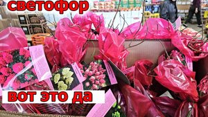 Такого я даже не Ожидала увидеть в Декабре.Магазин СВЕТОФОР.Привезли Гортензии и еще много чего еще
