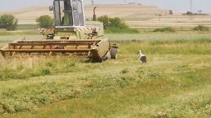 26.06.2021 село Ахурик, Армения