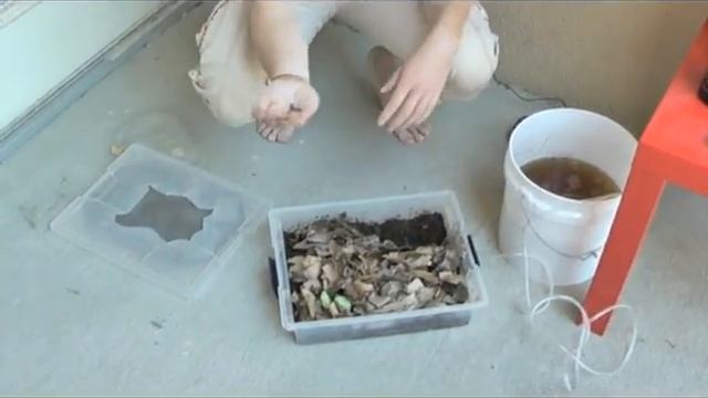 The Power of N: Applying Nitrogen Chemistry in Agriculture смотреть онлайн