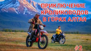 Приключение кролиководов в горах Алтая. Часть 2