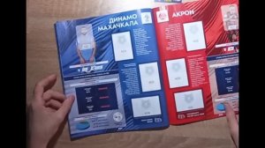 Обзор коллекции панини РПЛ 24/25