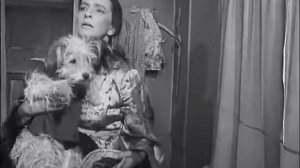 Четыре танкиста и собака - 7 - На перепутье