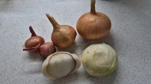 Есть много способов посадки зеленого лука зимой. Но мой самый лучший