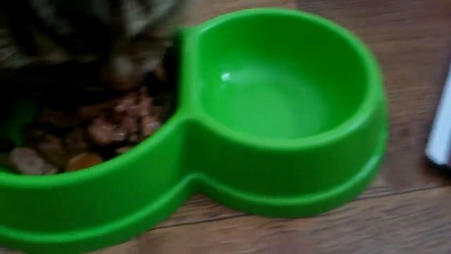 #Optimeal #Оптимил #Naproby #Напробу Відео №4 смотреть онлайн