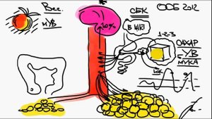 ГЛИКЕМИЯ (2012)