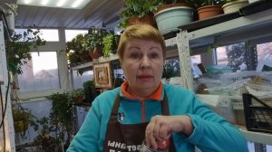 Критикуешь- предлагай! Что с семенами? Не торопись сеять! Вести из Светёлки.