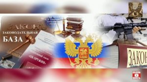 Перспективы изменения закона об оружии.