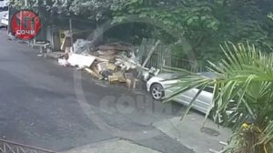 Стая бездомных собак напала на ребенка в Сочи