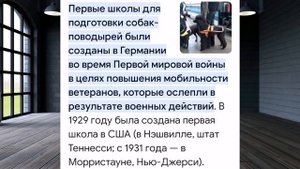 Собаки-Поводыри. Кто они?