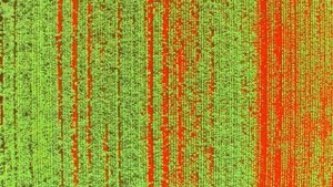 Использование дронов в различных отрослях промышленности