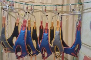 ПЕТЛЯ ГЛИССОНА