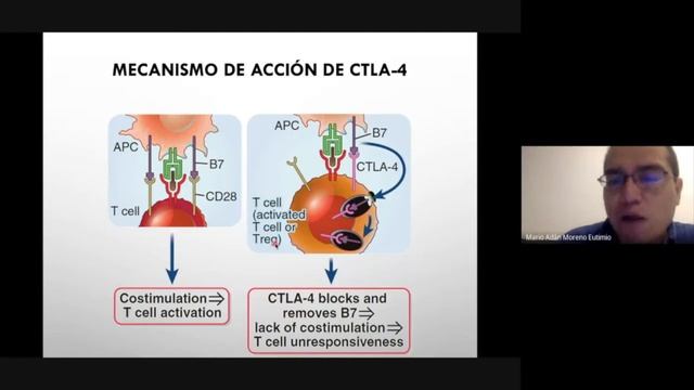 Clase 10. Tolerancia y Autoinmunidad смотреть онлайн