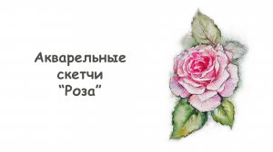 Как нарисовать Розу акварелью / Курс "Акварельные скетчи для начинающих" от more-art.ru