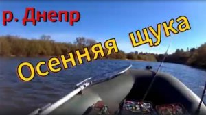 Осенняя щука на реке Днепр         #рыбалка #fishing #щука #спиннинг