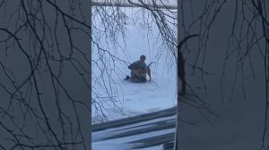В Зее крупная собака загрызла шпица