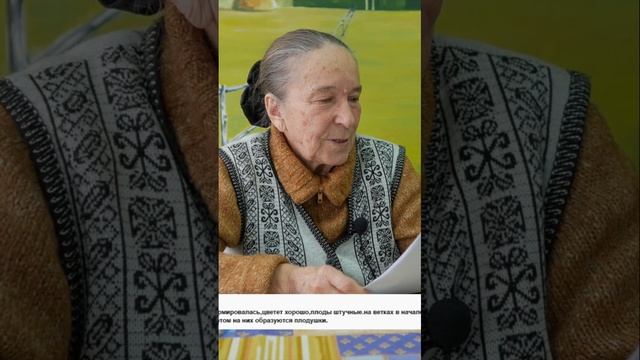 Как правильно ухаживать за груши_ секреты роста плодов