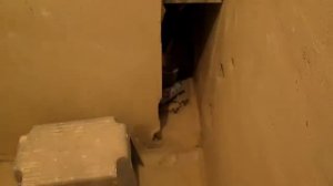 Восстановление перегородки между ванной и туалетом.