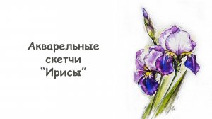 Как нарисовать Ирисы акварелью / Курс "Акварельные скетчи для начинающих" от more-art.ru