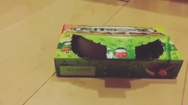 Смешное видео про ДЖУНГАРИКОВ ХОМЯЧКОВ! Тузя (СМЕШНОЕ ВИДЕО) Hamsters like #307