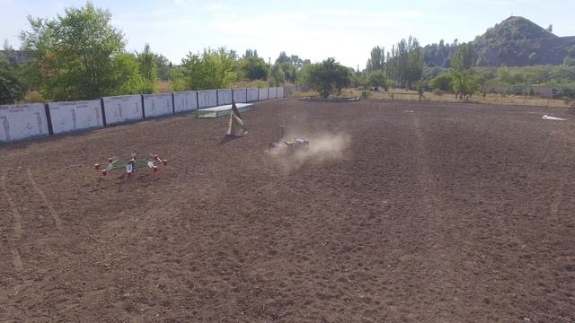 Малинуа збивает с ног ! смотреть онлайн