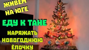 Ейск🌹Еду к Тане , в Александровку, наряжать Новогоднюю ёлочку. Наши курочки.