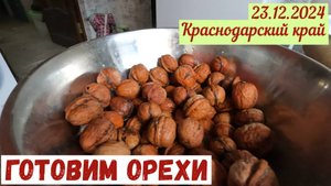 Краснодарский край(23.12.2024). Готовим грецкие орехи для новогоднего торта.