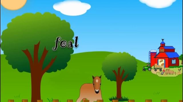 !Farm Animals