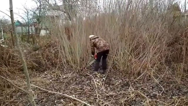 Освоение нового участка. Часть 2. Сжигаем, пилим, пашем.