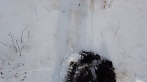 Закрытие сезона Gold Hunter N60  Skycruiser S31