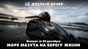 Море мазута на берегу жизни | НЕ ДОБРЫЙ ВЕЧЕР с Наданой ФРИДРИХСОН и Игорем ВИТТЕЛЕМ | 23.12.2024