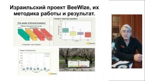 ПЧЕЛОВОДСТВО.  ЖИЗНЬ БЕЗ ВАРРОА ВОЗМОЖНА