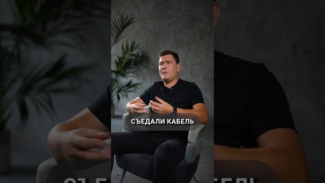 Что мы нашли во ВТОРИЧКЕ при ДЕМОНТАЖЕ? #демонтаж #ремонтквартиры #ремонт
