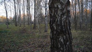 Продажа земельного участка 0,99 Га в Тульской области