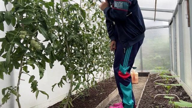 День 8 отпуска на даче. Муж закупил продуктов на День Рожденья!
