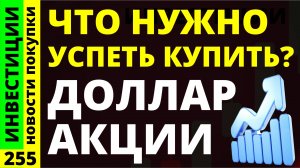 Какие акции покупать сейчас? Северсталь Роснефть Курс доллара Норникель Яндекс Русал Дивиденды ОФЗ