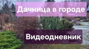 ВЛОГ: Дачница в городе. Видеодневник. Жизнь в городе.