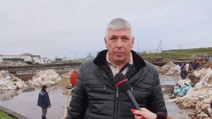 Песок с нефтепродуктами с пляжей Веселовки отправляют на утилизацию в «Сириус»