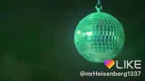 Коты поют на дискотеке (новый клип котов)!