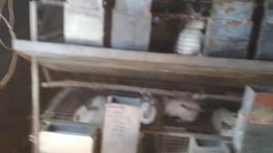 Сколько надо кроликов и клеток для собственного содержания