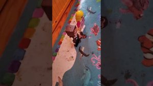 вторая часть пиццерия шоу-биз пицца плэйс