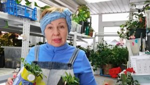 Что буду сеять в феврале с обзором рассады