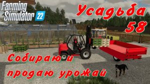 Усадьба 58 часть. Собираю и продаю урожай.