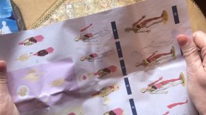 Конструктор модель человека детская развивающая игрушка