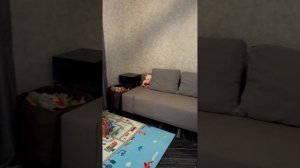 Поселок Дорожное Калининградская область