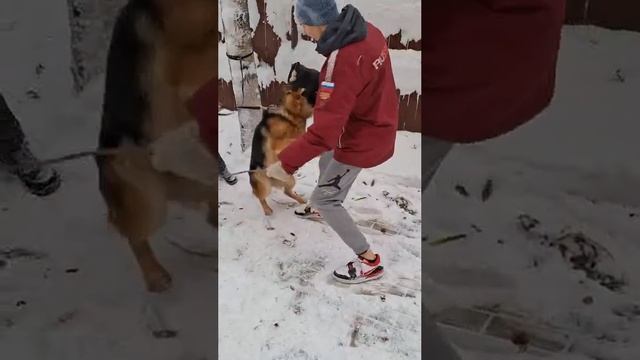 Наш воспитанник изучает профессию кинолога